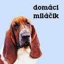 Domáci miláčik