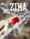 Zima